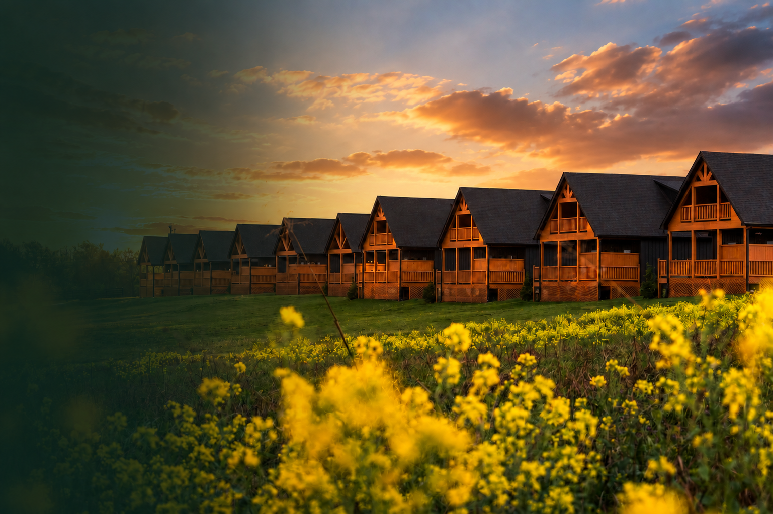 Wooden cabins at sunset overlooking a field of yellow wildflowers